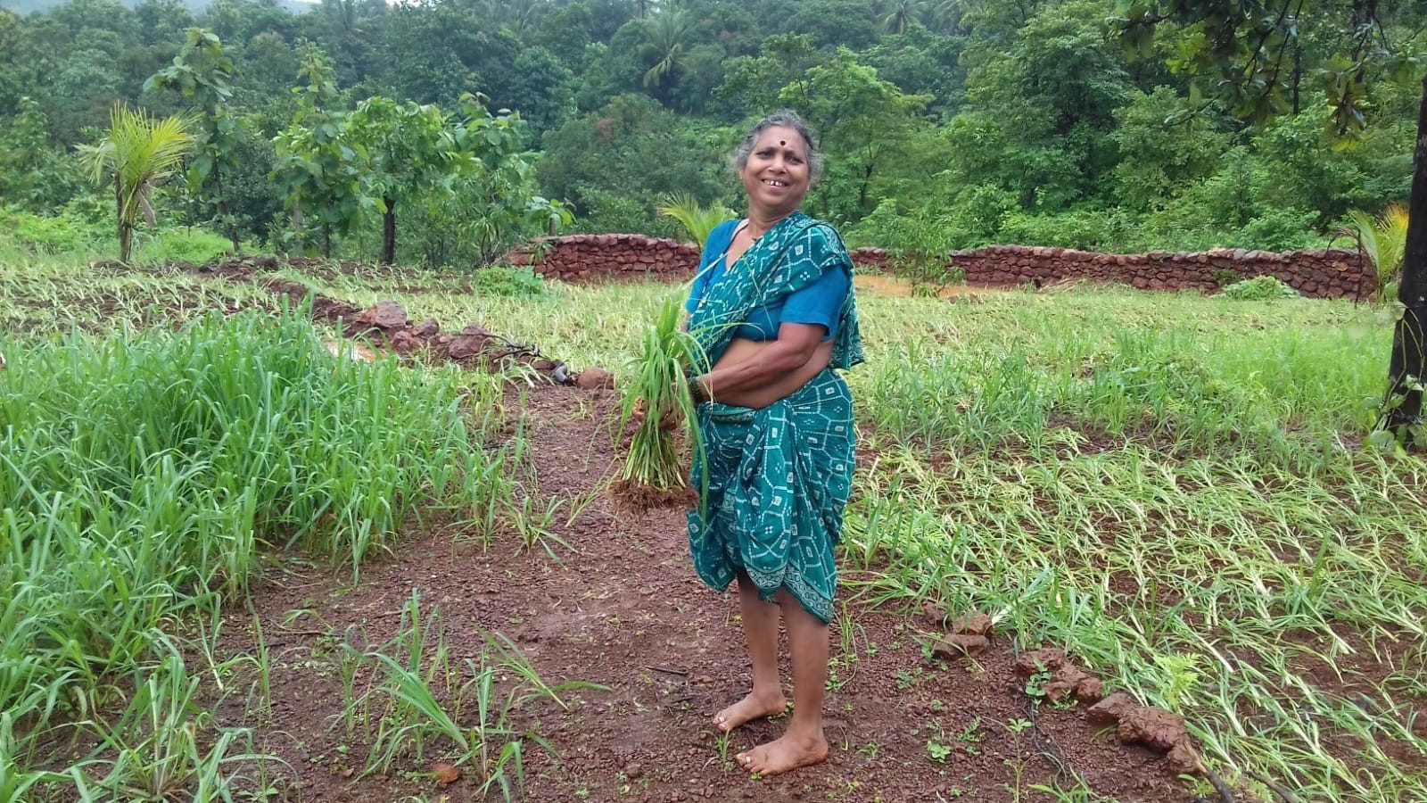 Rural Immersion